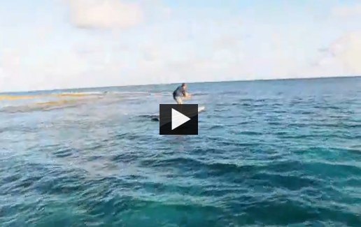 Shark Attacks on Paddle-boarder in Bahamas - AttackVideo.comAttackVideo.com